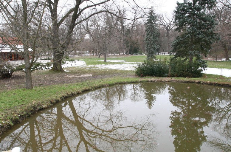 Tiszakürti Arborétum, Tiszakürt, Hungary, Hungary